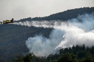 "Si nous prenons en compte les zones forestières brûlées par l'incendie dans le sud de l'Evros, nous parlons d'un énorme désastre écologique. L'image est tragique", a affirmé la garde-forestière Dora Skartsis, qui dirige la Société de la protectio...